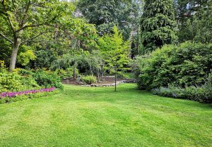 Optimiser l'expérience du jardin à Vrocourt